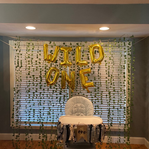 Wild One First birthday party decorations - Picture 4 of 4